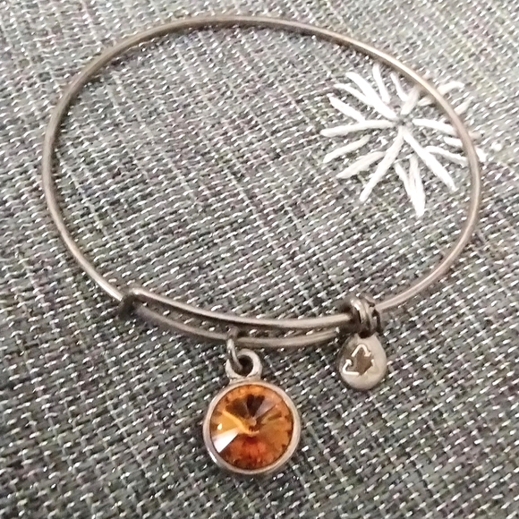 Alex and Ani Crystal November Birthstone Bracelet - Picture 8 of 16